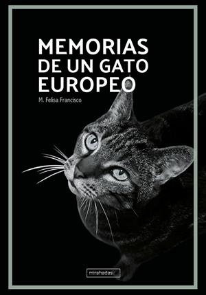 MEMORIAS DE UN GATO EUROPEO | 9788419904485 | FRANCISCO, M. FELISA