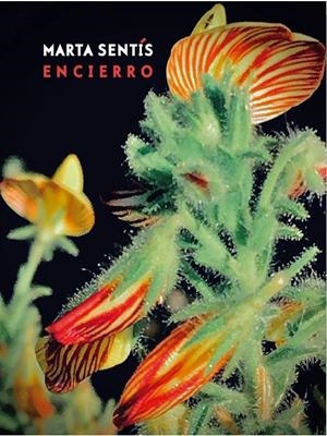 ENCIERRO | 9788412257328 | SENTIS, MARTA