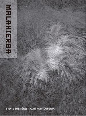 MALAHIERBA | 9788412257311 | FONTCUBERTA, JOAN