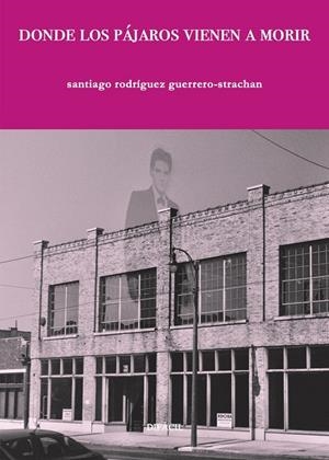 DONDE LOS PÁJAROS VIENEN A MORIR | 9788412673265 | RODRÍGUEZ GUERRERO-STRACHAN, SANTIAGO