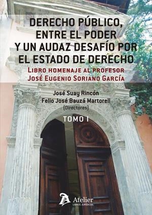 DERECHO PUBLICO, ENTRE EL PODER Y UN AUDAZ DESAFIO POR EL ESTADO DE DERECHO | 9788419773357 | SUAY RINCON, JOSE
