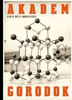AKADEMGORODOK | 9788415118930 | ORTIZ MONASTERIO, PABLO