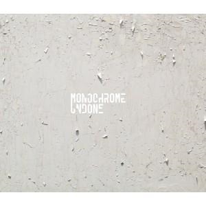 MONOCHROME UNDONE | 9788416282098 | VARIOS AUTORES