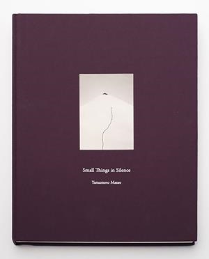 SMALL THINGS IN SILENCE | 9788415118831 | MASAO, YAMAMOTO