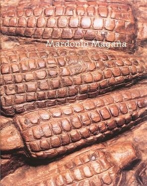 MARDONIO MAGAÑA | 9789685208260 | CORONEL RIVERA / DUARTE