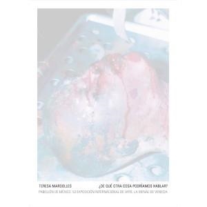 TERESA MARGOLLES | 9788492480654 | MARGOLLES, TERESA