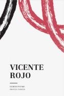 VICENTE ROJO | 9788416282241 | VARIOS AUTORES