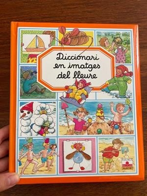 DICCIONARI EN IMATGES DEL LLEURE | 9782215068709