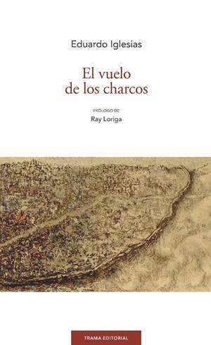 VUELO DE LOS CHARCOS, EL | 9788494846519 | IGLESIAS BERRIDI, EDUARDO