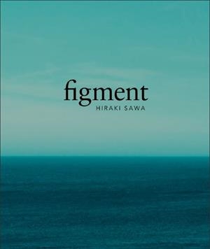 FIGMENT | 9788480816717