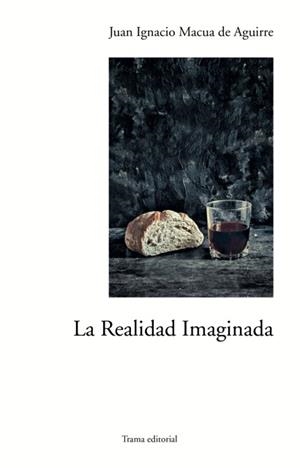 REALIDAD IMAGINADA, LA | 9788492755899 | MACUA DE AGUIRRE, JUAN IGNACIO