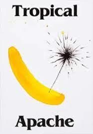 TROPICAL APACHE | 9788494418730 | MARQUÉS, NURIA