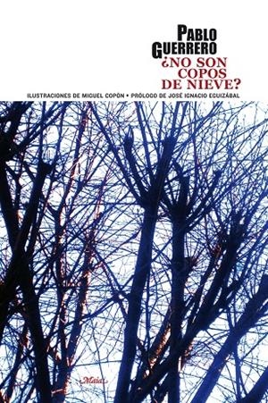 NO SON COPOS DE NIEVE? | 9788492724468 | GUERRERO CABANILLAS, PABLO