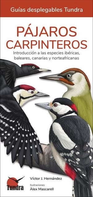 PAJAROS CARPINTEROS | 9788419624192 | HERNANDEZ, VICTOR J.