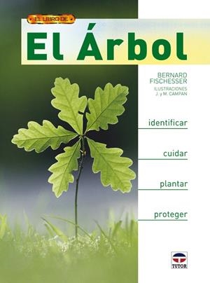 ARBOL, EL | 9788479027834 | FISCHESSER, BERNARD