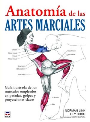 ANATOMIA DE LAS ARTES MARCIALES | 9788479029111 | LINK, NORMAN / CHOU, LILY