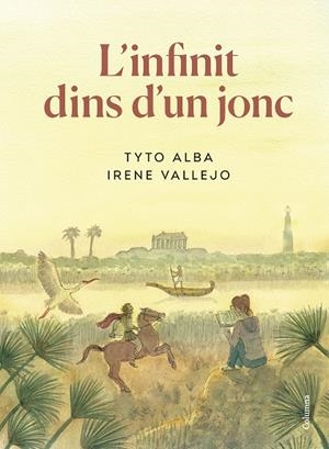 INFINIT DINS UN JONC, L' (EDICIÓ IL·LUSTRADA) | 9788466430937 | VALLEJO, IRENE / ALBA, TYTO