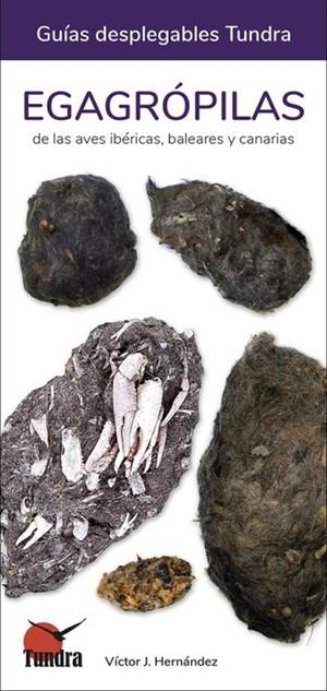 EGAGROPILAS DE LAS AVES IBERICAS BALEARES Y CANARIAS | 9788419624208 | HERNANDEZ, VICTOR J.