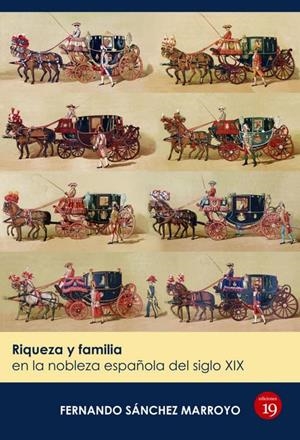 RIQUEZA Y FAMILIA EN LA NOBLEZA ESPAÑOLA DEL SIGLO XIX | 9788416225095 | SANCHEZ MARROYO, FERNANDO