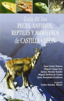 GUÍA DE LOS PECES, ANFIBIOS, REPTILES Y MAMÍFEROS DE CASTILLA Y LEÓN | 9788493373016