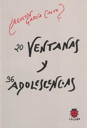 20 VENTANAS Y 36 ADOLESCENCIAS | 9788485708727 | GARCIA CALVO, AGUSTIN