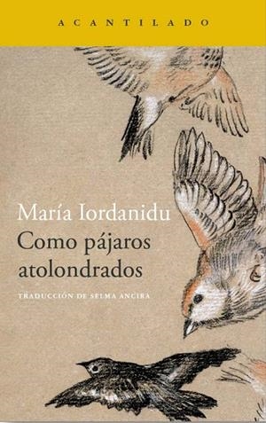 COMO PÁJAROS ATOLONDRADOS | 9788419036704 | IORDANIDU, MARÍA