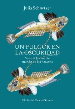 FULGOR EN LA OSCURIDAD, UN | 9788419553119 | SCHNETZER, JULIA