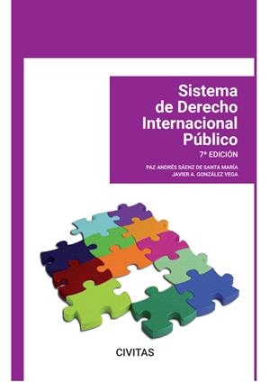 SISTEMA DE DERECHO INTERNACIONAL PÚBLICO | 9788411259842 | ANDRÉS SÁENZ DE SANTA MARÍA, PAZ
