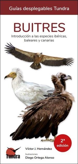 BUITRES - GUIAS DESPLEGABLES TUNDRA | 9788419624321 | HERNANDEZ NAVARRO, VICTOR JOSE