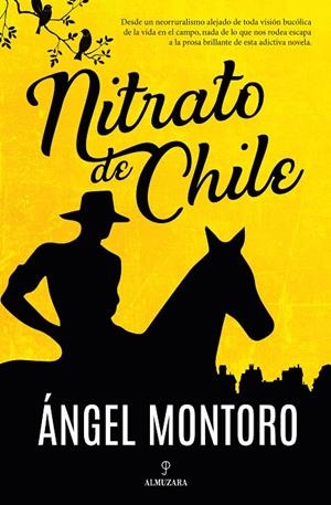NITRATO DE CHILE | 9788411317634 | MONTORO VALVERDE, ÁNGEL