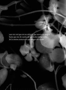 SALIVA | 9788494412110 | CHUCA TWOREK, MACKY