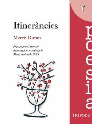 ITINERÀNCIES | 9788412728941 | DURAN, MERCÉ