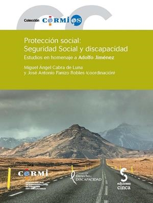 PROTECCION SOCIAL, SEGURIDAD SOCIAL Y DISCAPACIDAD | 9788415305705 | CABRA DE LUNA, MIGUEL ANGEL