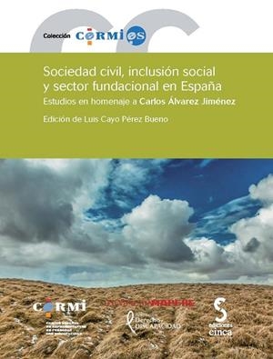 SOCIEDAD CIVIL, INCLUSIÓN SOCIAL Y SECTOR FUNDACIONAL EN ESPAÑA | 9788415305712 | ALVAREZ RAMIREZ, GLORIA ESPERANZA