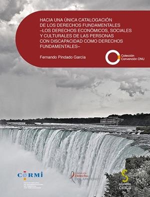HACIA UNA UNICA CATALOGACION DE LOS DERECHOS FUNDAMENTALES | 9788415305941 | PINDADO GRACIA, FERNANDO
