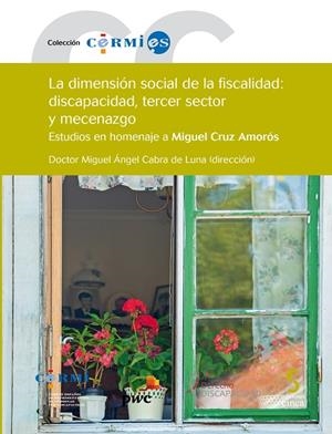 DIMENSION SOCIAL DE LA FISCALIDAD DISCAPACIDAD TERCER SECTOR | 9788416668335 | CABRA DE LUNA, MIGUEL ANGEL