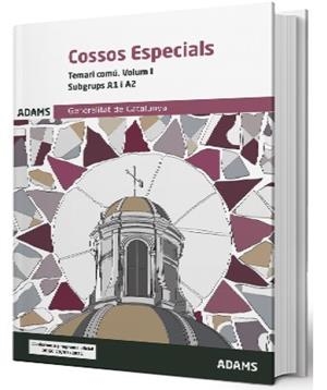TEMARI COMÚ COSSOS ESPECIALS I. SUBGRUPS A1 I A2 | 9788411163132 | VARIOS AUTORES