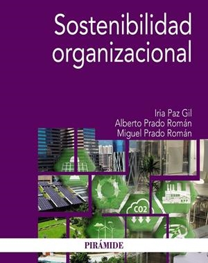 SOSTENIBILIDAD ORGANIZACIONAL | 9788436848373 | PAZ GIL, IRÍA;PRADO ROMÁN, ALBERTO;PRADO ROMÁN, MIGUEL