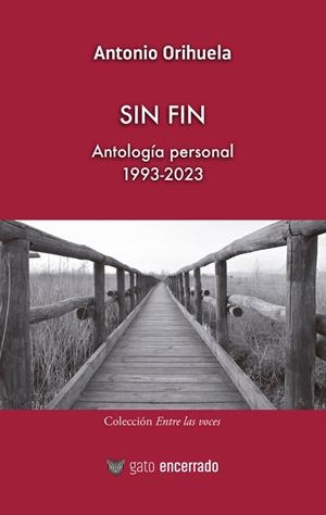 SIN FIN. ANTOLOGÍA PERSONAL 1993-2023 | 9788412583946 | ORIHUELA, ANTONIO