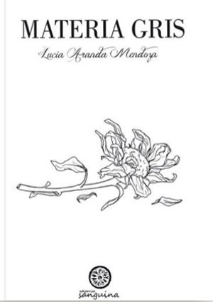 MATERIA GRIS | 9788412066401 | ARANDA MENDOZA, LUCIA