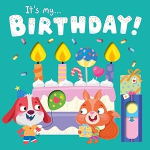 IT'S MY BIRTHDAY | 9781837710614 | IGLOOBOOKS