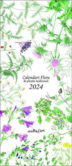 CALENDARI FLORA DE PLANTES MEDICINALS 2024 | 9788418900624 | VILALDAMA, PERE