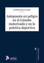 AUTOPUESTA EN PELIGRO EN EL TRÁNSITO MOTORIZADO Y EN LA PRÁCTICA DEPORTIVA | 9788419773487 | SUBUH FALERO, NADER