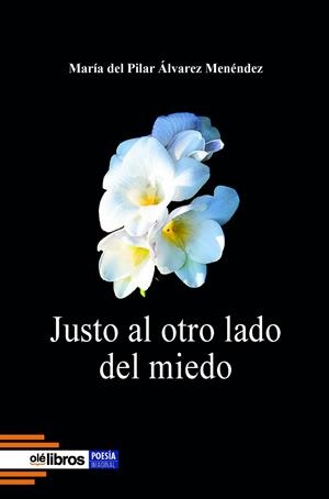 JUSTO AL OTRO LADO DEL MIEDO | 9788419589743 | ALVAREZ MENENDEZ, MARIA DEL PILAR