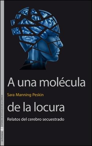 A UNA MOLÉCULA DE LA LOCURA | 9788411182249 | MANNING PESKIN, SARA