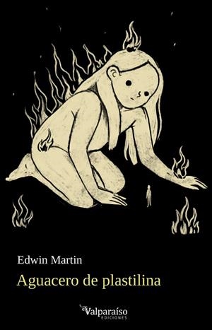AGUACERO DE PLASTILINA | 9788419347855 | MARTIN, EDWIN