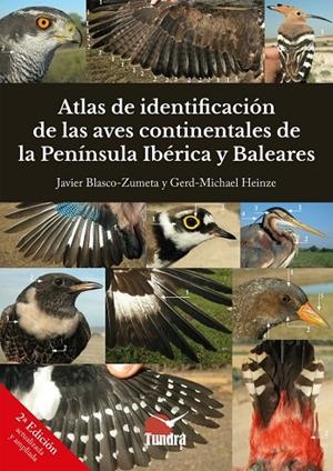 ATLAS DE IDENTIFICACIÓN DE LAS AVES CONTINENTALES DE LA PENINSULA (2 ED) | 9788419624338 | BLASCO-ZUMETA, JAVIER