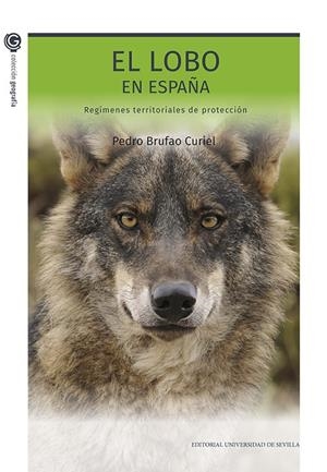 LOBO EN ESPAÑA, EL | 9788447225743 | BRUFAO CURIEL, PEDRO