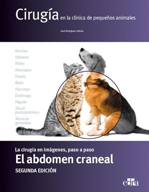 ABDOMEN CRANEAL, EL (2 EDICIÓN) | 9788418498169 | RODRIGUEZ GOMEZ, JOSÉ