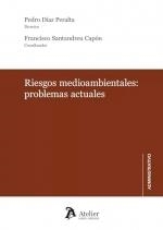 RIESGOS AMBIENTALES PROBLEMAS ACTUALES | 9788419773586 | DIAZ PERALTA, PEDRO / SANTANDREU CAPON, FRANCISCO